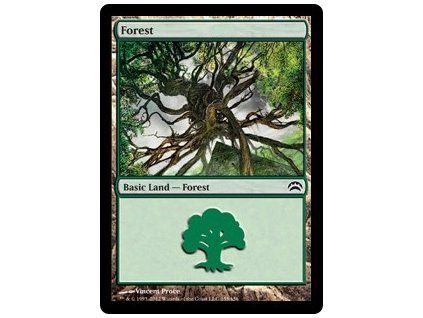 Forest