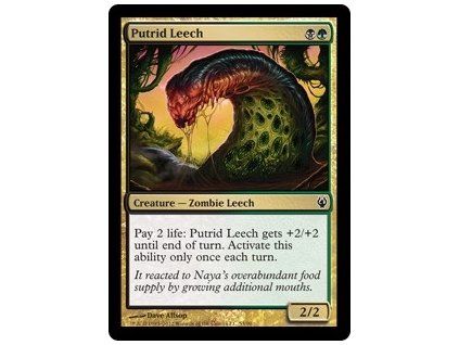 Putrid Leech