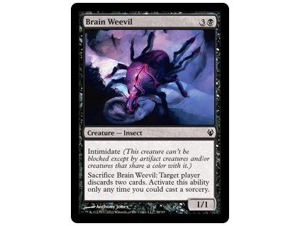 Brain Weevil