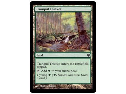 Tranquil Thicket