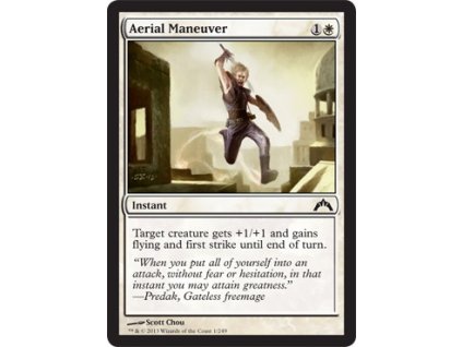 Aerial Maneuver (Foil ANO, Stav Near Mint)