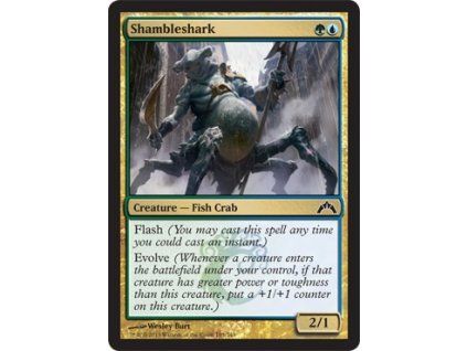 Shambleshark