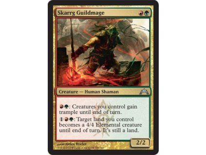 Skarrg Guildmage
