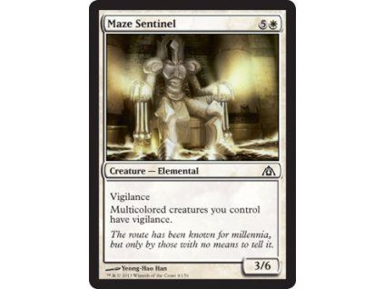 Maze Sentinel