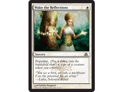 Wake the Reflections