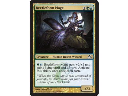 Beetleform Mage