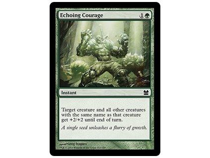 Echoing Courage