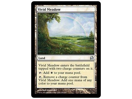 Vivid Meadow
