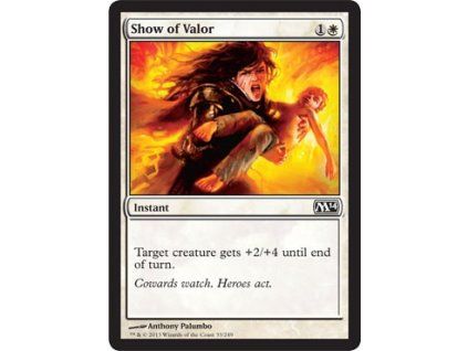 Show of Valor