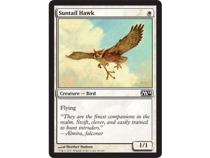 Suntail Hawk