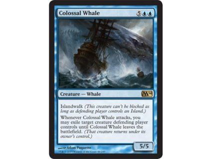 Colossal Whale
