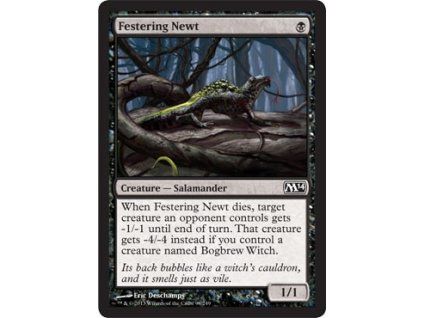 Festering Newt