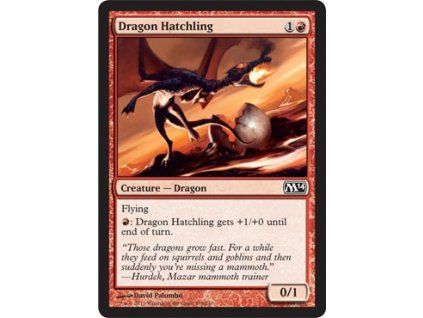 Dragon Hatchling