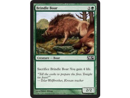 Brindle Boar