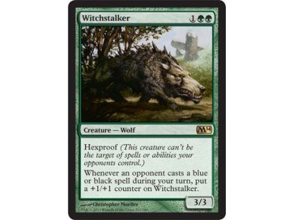 Witchstalker