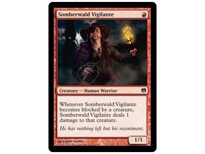 Somberwald Vigilante
