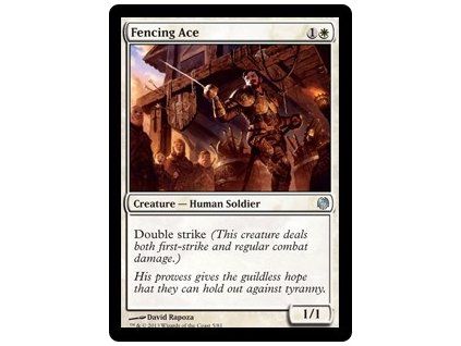 Fencing Ace