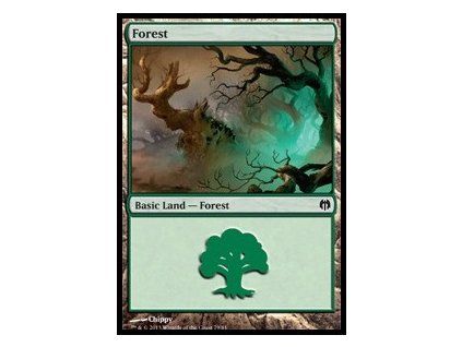 Forest