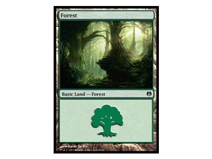 Forest