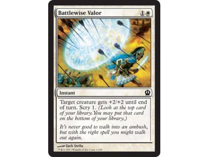 Battlewise Valor