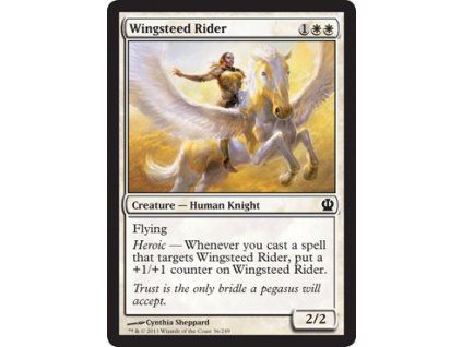 Wingsteed Rider