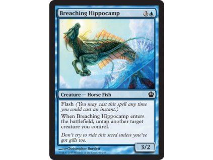 Breaching Hippocamp