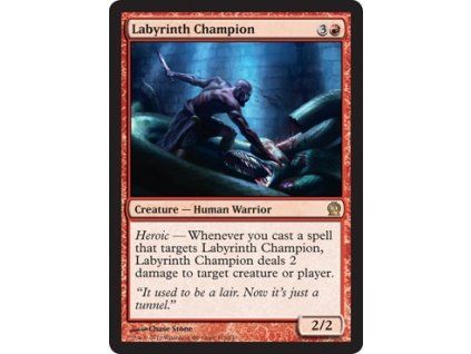 Labyrinth Champion