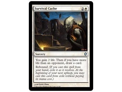 Survival Cache