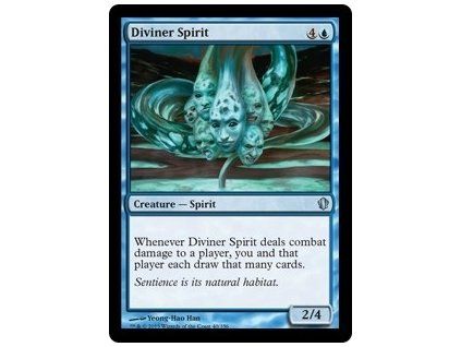 Diviner Spirit