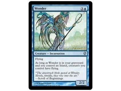 Wonder (Foil NE, Stav Near Mint)