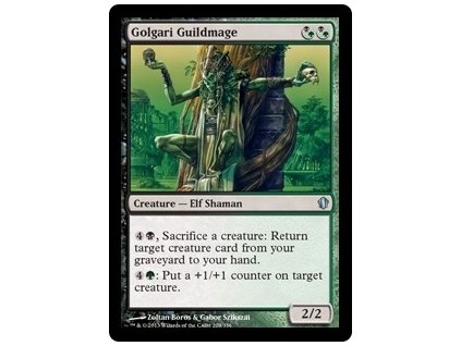 Golgari Guildmage (Foil NE, Stav Near Mint)