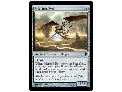 Pilgrim's Eye