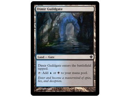 Dimir Guildgate
