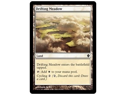 Drifting Meadow (Foil NE, Stav Near Mint)