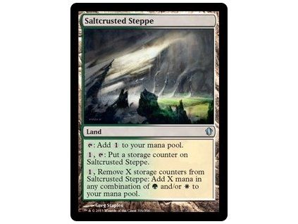 Saltcrusted Steppe