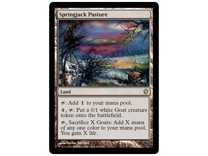 Springjack Pasture (Foil NE, Stav Near Mint)