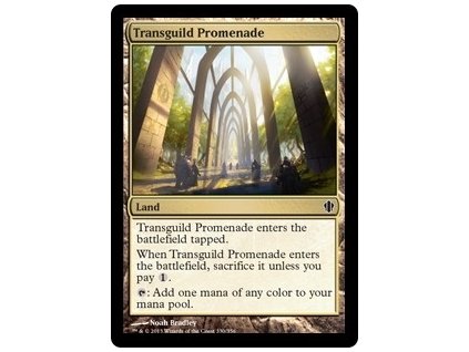 Transguild Promenade (Foil NE, Stav Near Mint)