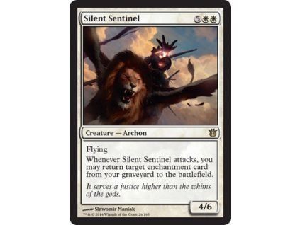 Silent Sentinel