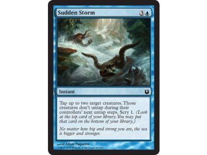 Sudden Storm