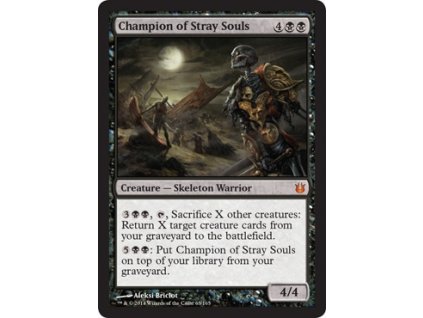 Champion of Stray Souls (Foil NE, Stav Near Mint)