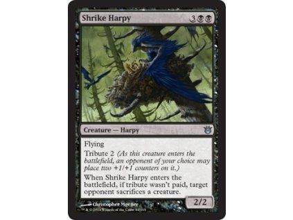 Shrike Harpy