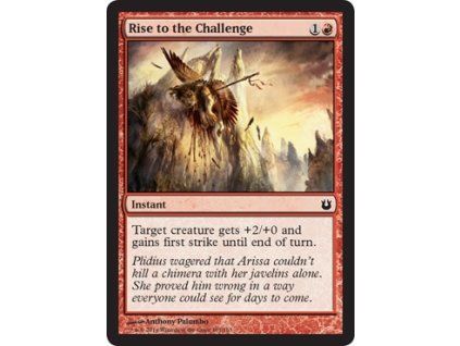 Rise to the Challenge