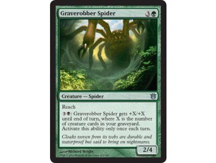 Graverobber Spider
