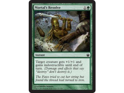 Mortal's Resolve