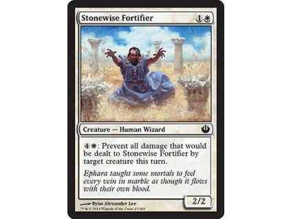 Stonewise Fortifier