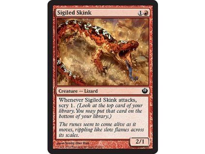 Sigiled Skink