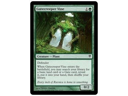 Gatecreeper Vine