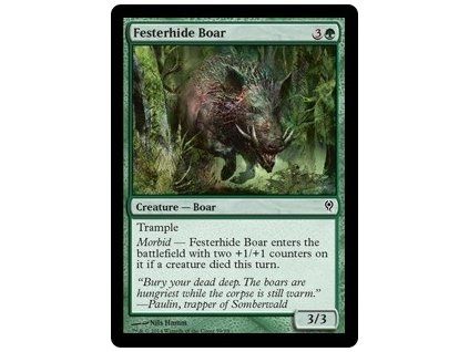 Festerhide Boar