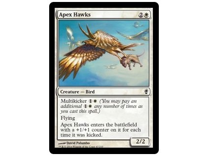 Apex Hawks (Foil NE, Stav Near Mint)