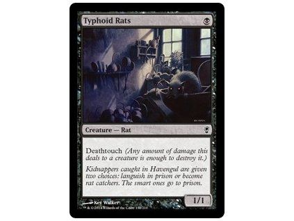Typhoid Rats